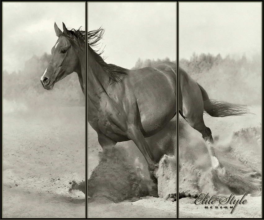 Фотполимерный рисунок лошадь